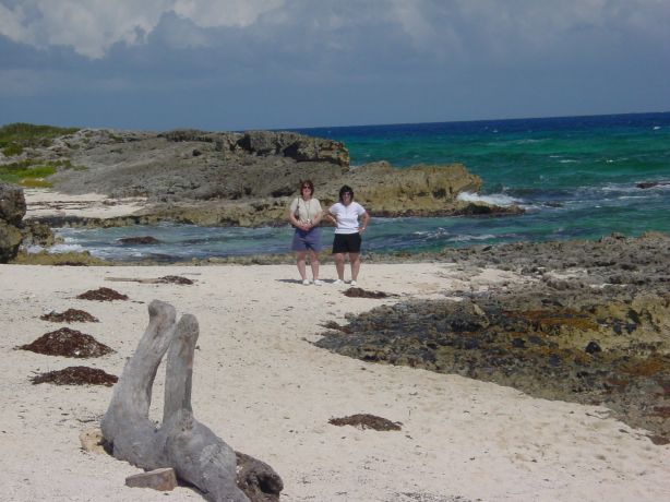 ../Images/More on the beach.jpg